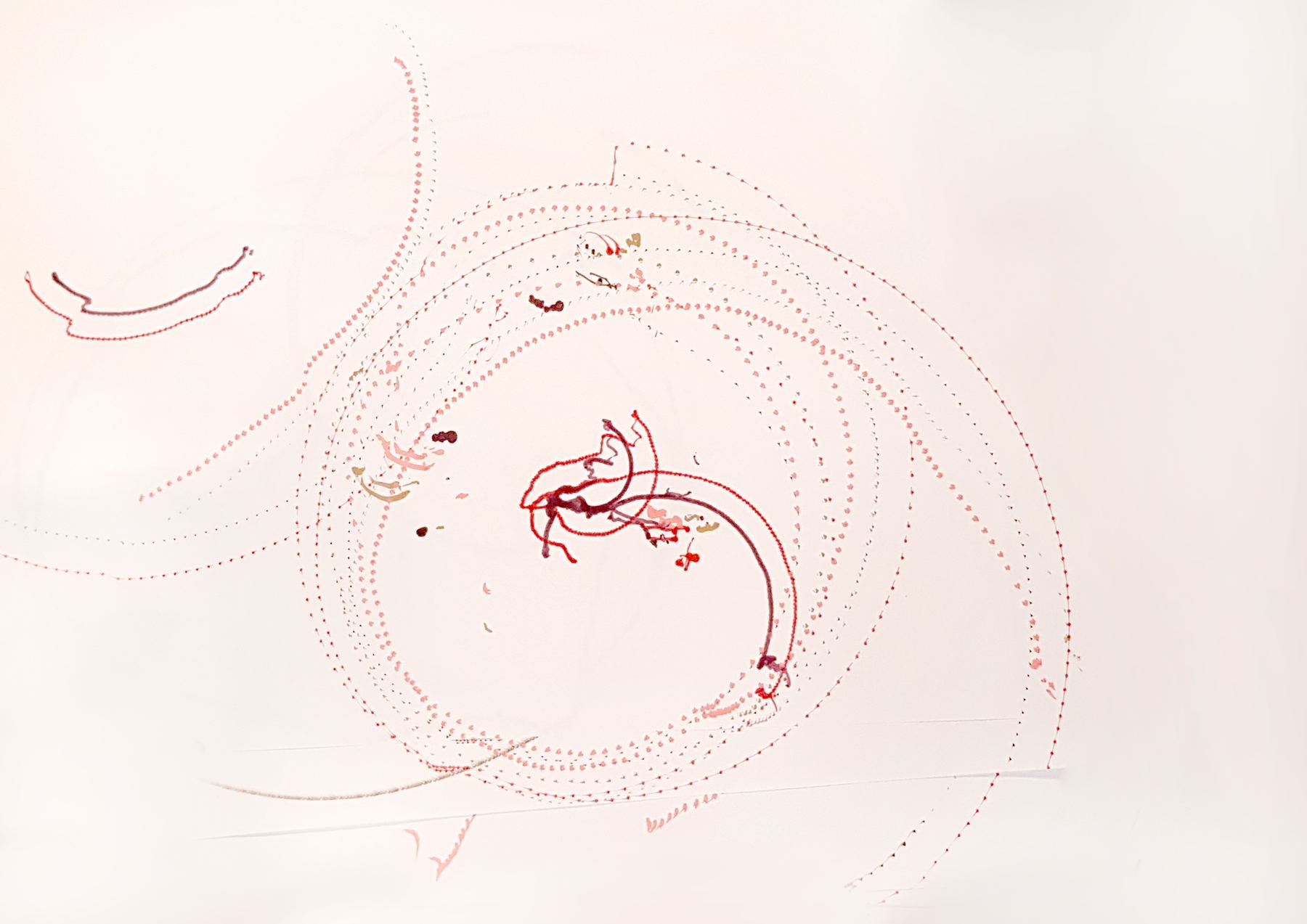 Thin dotted circles in red with a small dark scribble in the middle