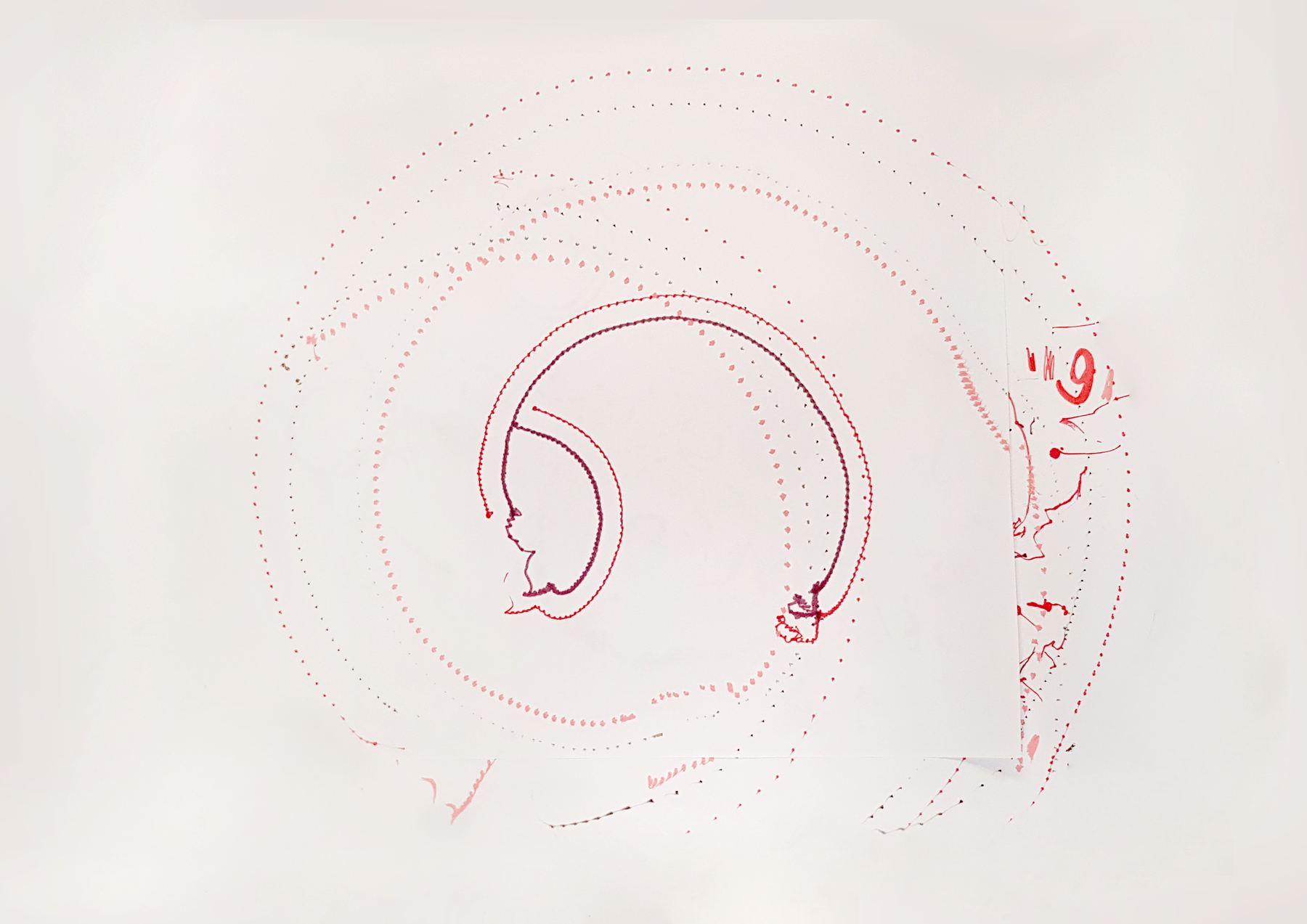 Fine dotted spirals and a dark red curve
